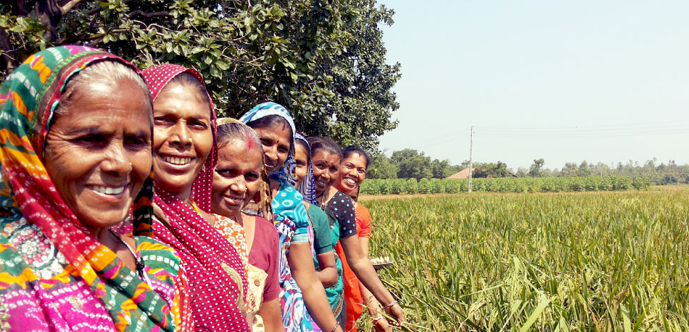 Diversifying crop production